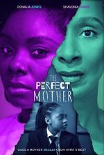 Watch The Perfect Mother Movies123