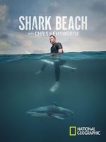 Watch Shark Beach with Chris Hemsworth (TV Special 2021) Movies123