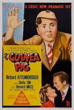 Watch The Outsider Movies123