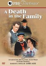 Watch A Death in the Family Movies123