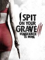 Watch I Spit on Your Grave: Vengeance is Mine Movies123