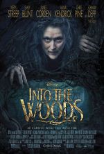 Watch Into the Woods Movies123