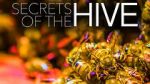 Watch Secrets of the Hive Movies123