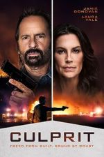 Watch Culprit Movies123