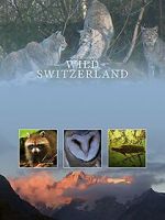 Watch Wilde Schweiz Movies123