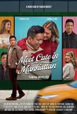Watch Meet Cute in Manhattan Movies123