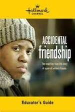 Watch Accidental Friendship Movies123