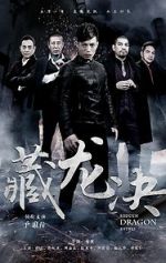 Watch Hidden Dragon Battle Movies123
