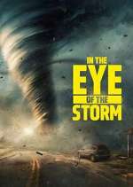 Watch In the Eye of the Storm Season 4 Episode 14 Movies123